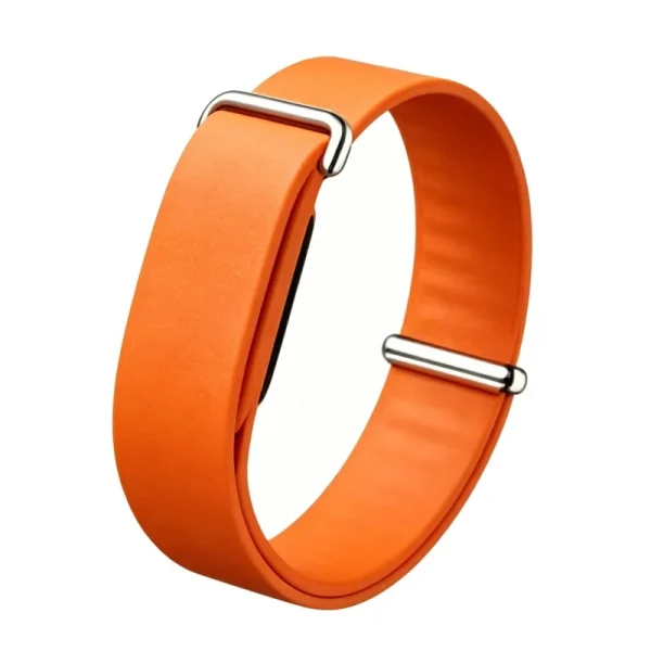 Bracelet Sport et Élégant pour Fitbit Air